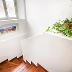 Baragiola *