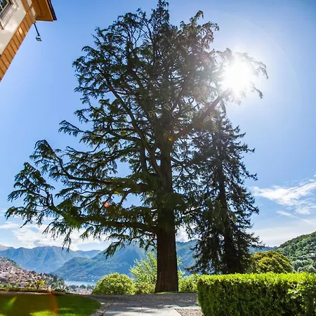 Baragiola * كومو